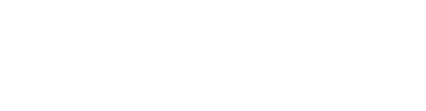 Dhora Digital It